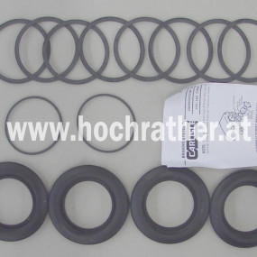 Dichtungssatz F. Bremse Uw 160 Horsch