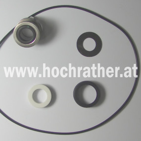Dichtungssatz F. Pumpe 9303C Hypro Horsch