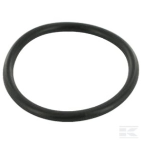 O-Ring Hubachse Case-Ih Kramp