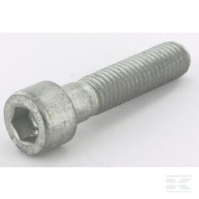 Zyl. Schraube 10X45 8.8 Kramp