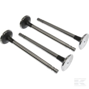 Auslassventil Vapormatic (X4) Kramp VPA1502