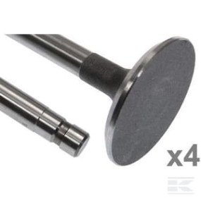 Einlassventil Vapormatic (X4) Kramp VPA1512