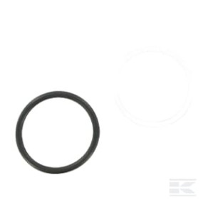 Dichtungssatz für Rs-F-16 (Rk9F16Sealp001) Kramp