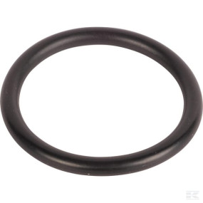 O-Ring (Ci028121) Kramp