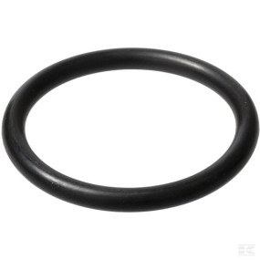 O-Ring (Ci028134) Kramp