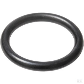 O-Ring (Ci028560) Kramp