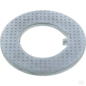 Unterlegscheibe 32.1X60.5X3 (Sl003129310) Kramp