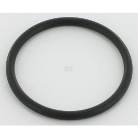 O-Ring für Kraftstoffpumpe Kramp