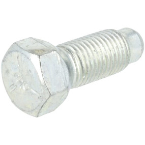 Radbolzen (M144698) Kramp