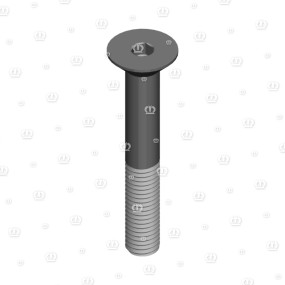 Senkschr.10X70 7991 Krone 9040541