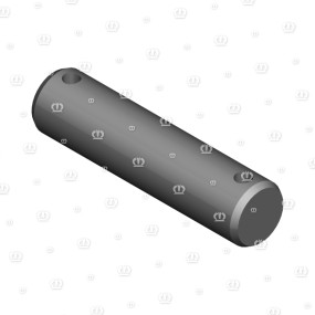 Bolzen 30X120 Krone 1394811
