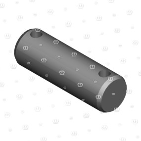 Bolzen 20X60 Krone 2003503