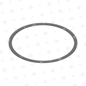 Passscheibe 100X 110X 1 Krone 9101000