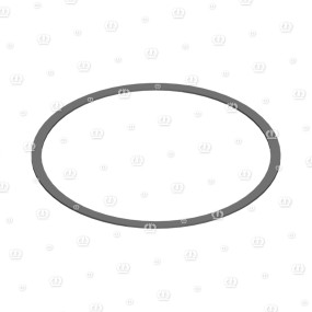 Passcheibe 115X125X1,0 Krone 9108781
