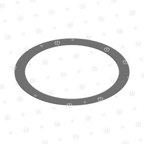 Passscheibe 45X 55X 0,3 Krone 9108940