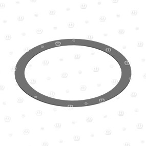 Passscheibe 100X 120X 1 Krone 9110290