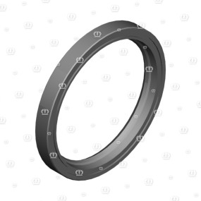 Si.ring 60X75X8 B2 Krone 9364201