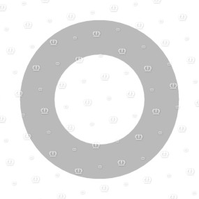 Scheibe 17X30X3 Krone