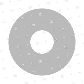 Scheibe 8,4X24X2 A3G Krone