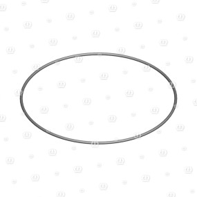 O-Ring Or 170X3 Krone 9376090