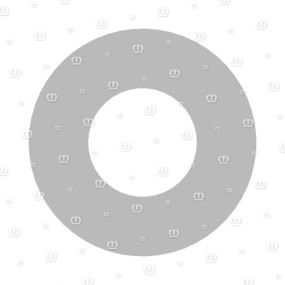 Scheibe 4,3X9,0X0,8 Krone