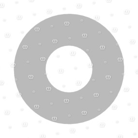 Scheibe 17X40X6 7349 Krone
