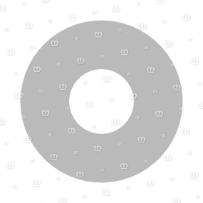 Scheibe 8,4X21X4 Krone