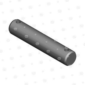 Bolzen 20X100 Krone 1441431