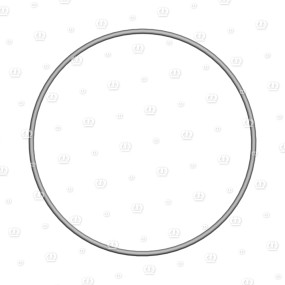 O-Ring Or 124,5-3 Krone