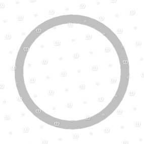 Dichtring 26X31 Krone
