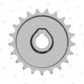 Kettenrad 21Z. 1-1/4″,45B. Krone