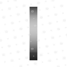 Scheibe 8X55 Krone