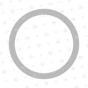 Passscheibe 60X 72X 1 Krone