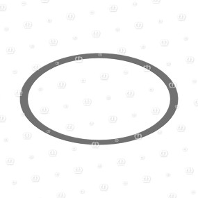 Passcheibe 90X100X0,3 Krone