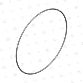 O-Ring 250X4 Krone