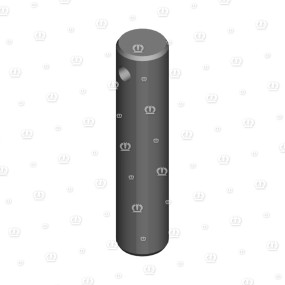 Bolzen Rd.25X116 Krone 2926630