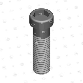 Zyl.-Schr. I-6Kt M20X65 Krone 9030120