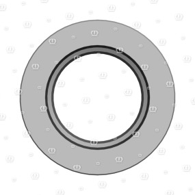Si.ring 35X62X10 B2 Krone