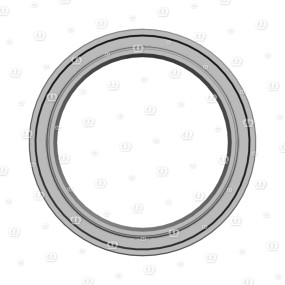 Si.ring A 60X80X8 Krone
