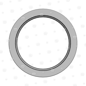 Si.ring A 60X80X8 Krone