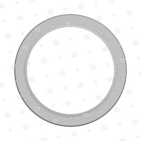 Si.ring 70X90X12/10 B2Sl Krone