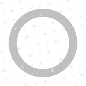 Scheibe 20X25X0,2 Krone