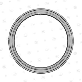 Si.ring As 50X62X7 Krone