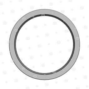 Si.ring As 50X62X7 Krone