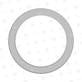 Si.ring As 110X140X12 Krone