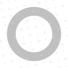 Dichtring 16X24X1,5 Cu Krone