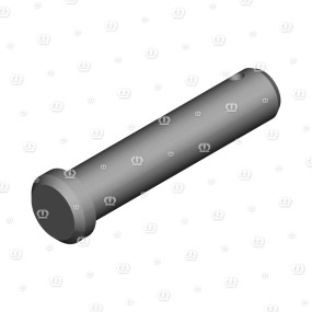 Bolzen Rd.20X78 Krone