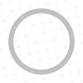 Zwischenscheibe Rd.119,8X3 Krone