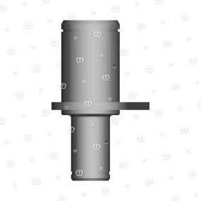 Bolzen Rd.45X54 Krone
