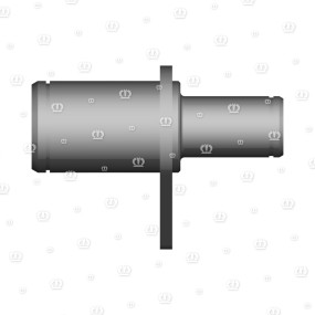 Bolzen Rd.45X54 Krone